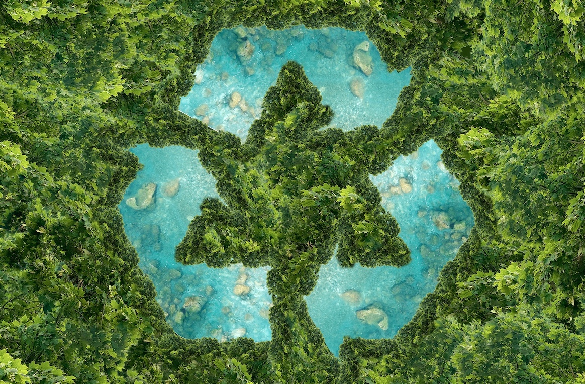 Zes principes voor campagnes zonder greenwashing