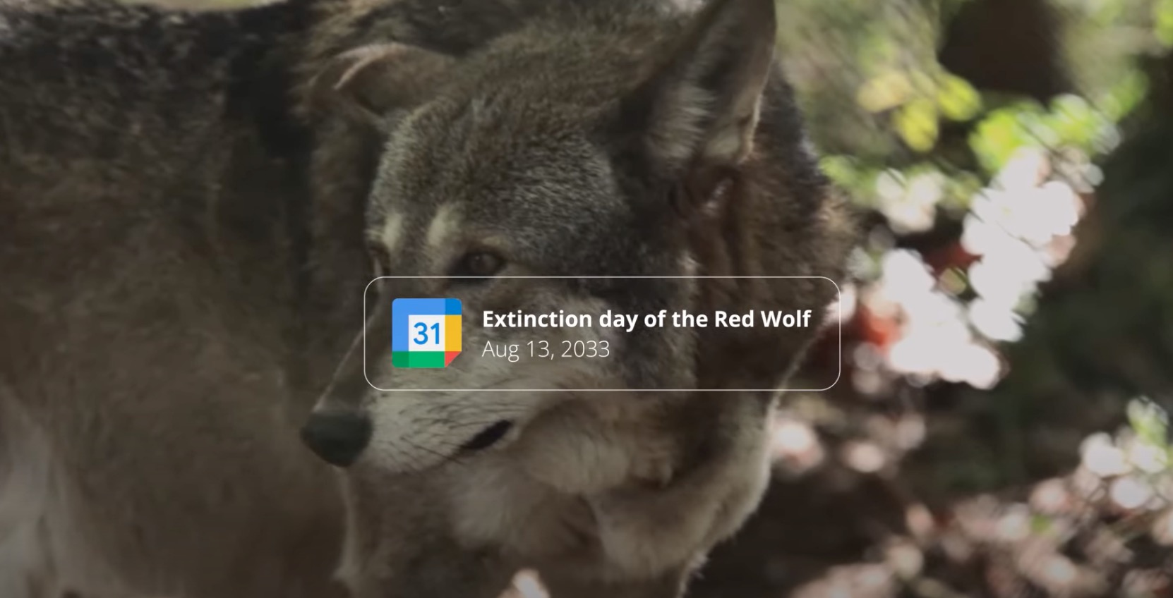 Google-kalender van het WWF: akelige alarmbel
