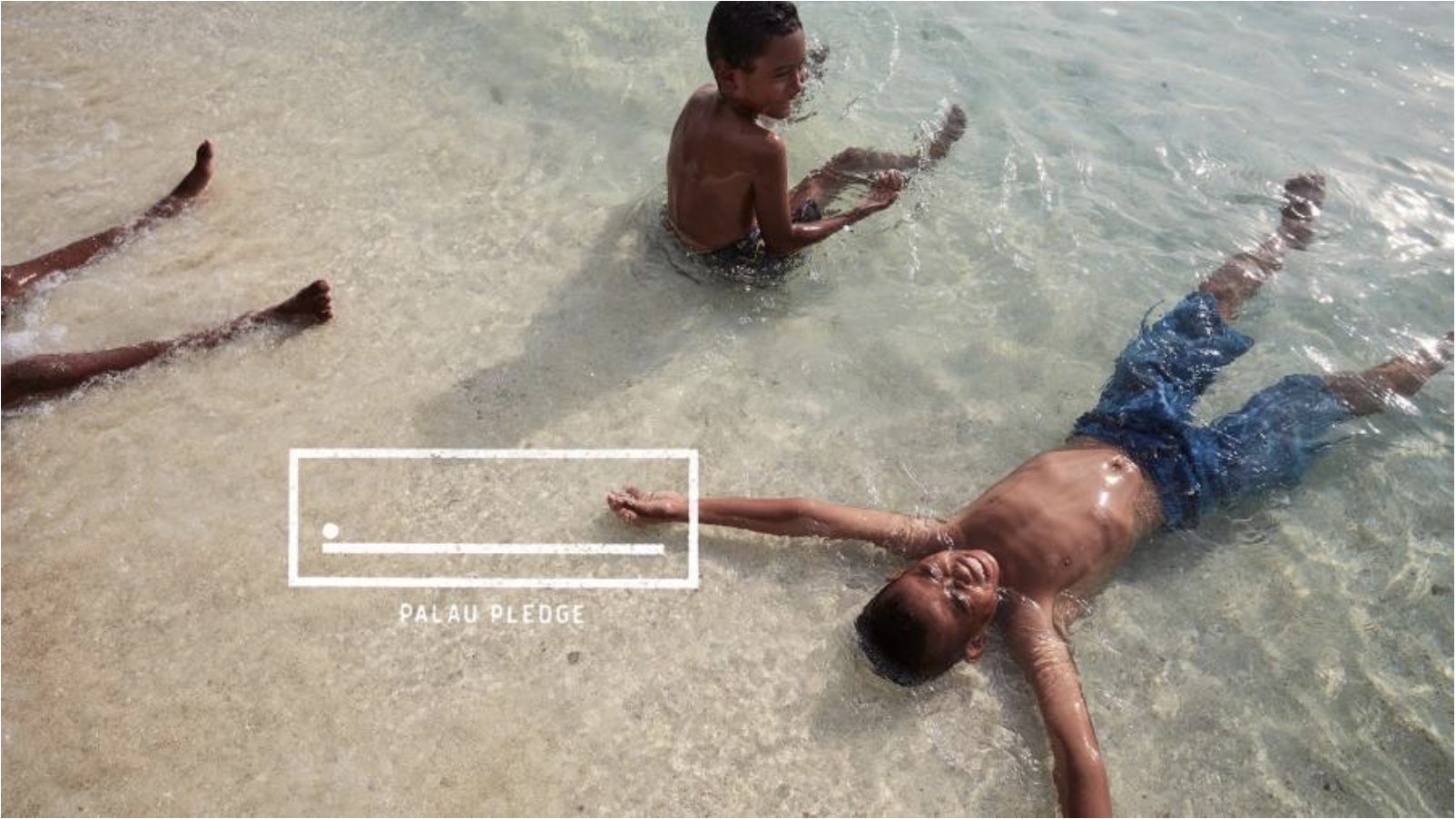 Le Warc Creative 100 nouveau est arrivé