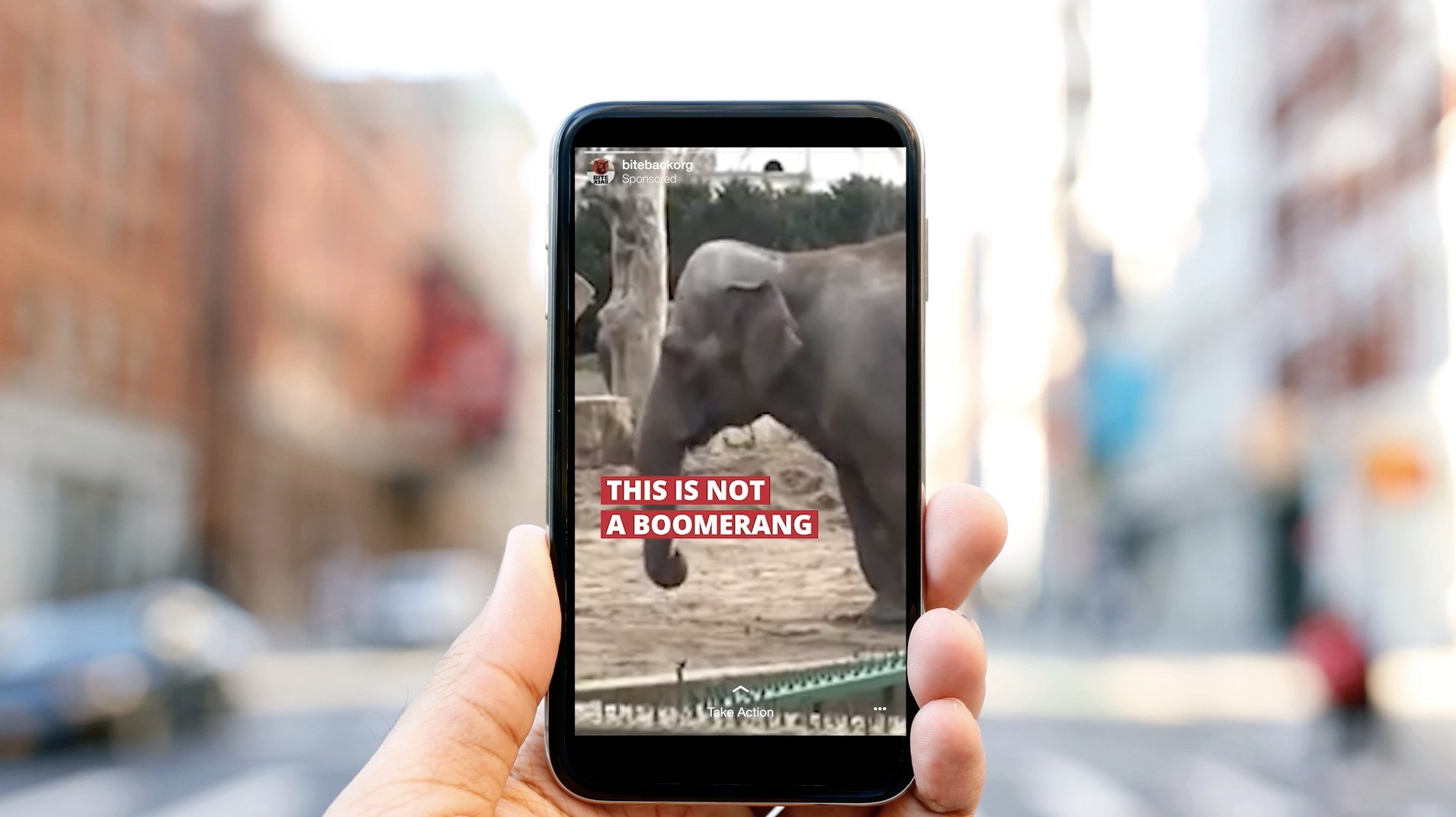 Un deuxième Lion pour FamousGrey