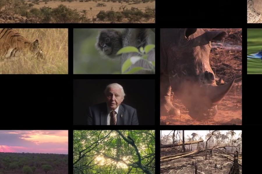 GP Sustainable Development Goals: 'The Lion's Share' (Clemenger BBDO - Finch Melbourne - Mars Australia)