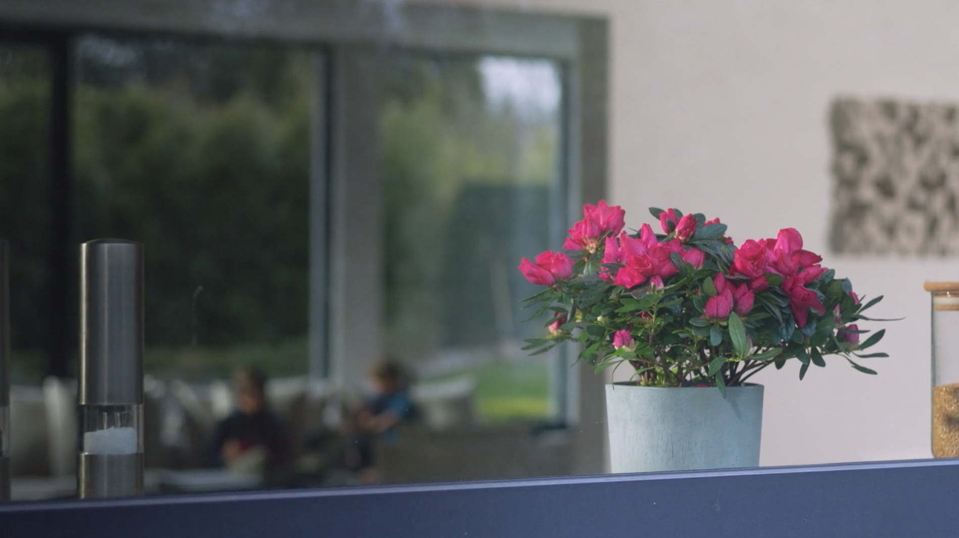 FamousGrey zegt het met bloemen voor Kom op tegen Kanker