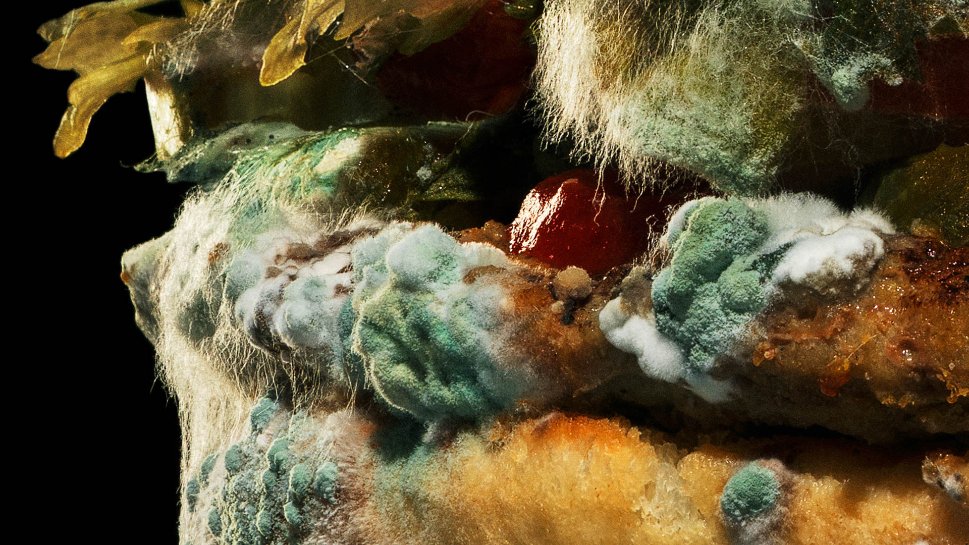 Vier Black Pencils op de D&AD Awards