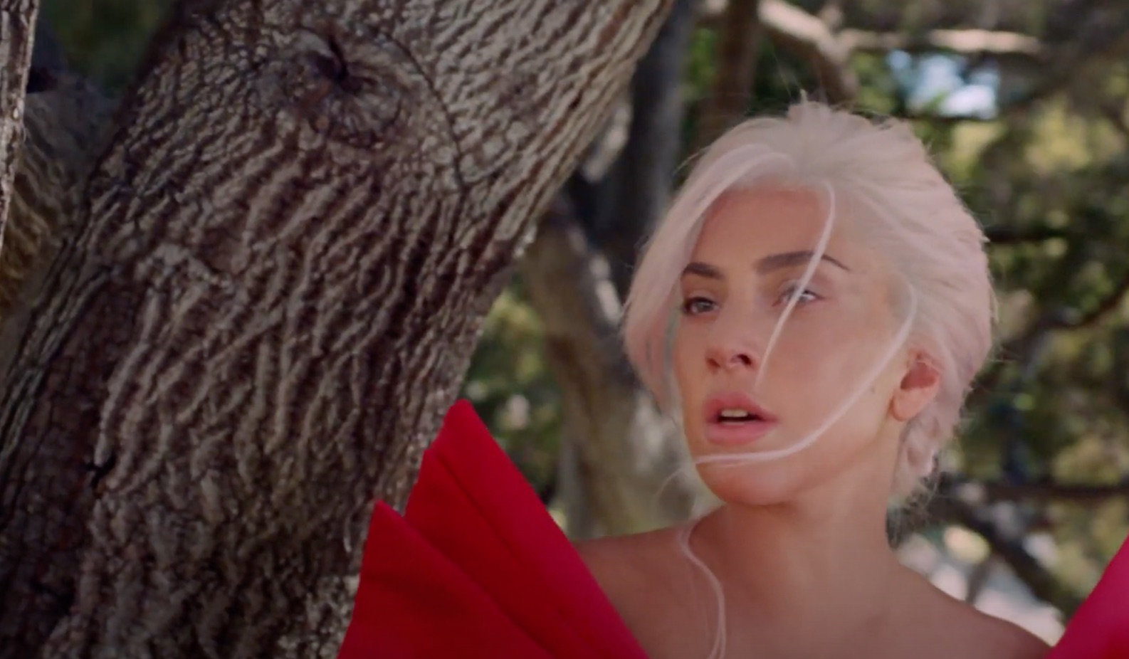 L'Oréal officialiseert de unie tussen Lady Gaga en Valentino