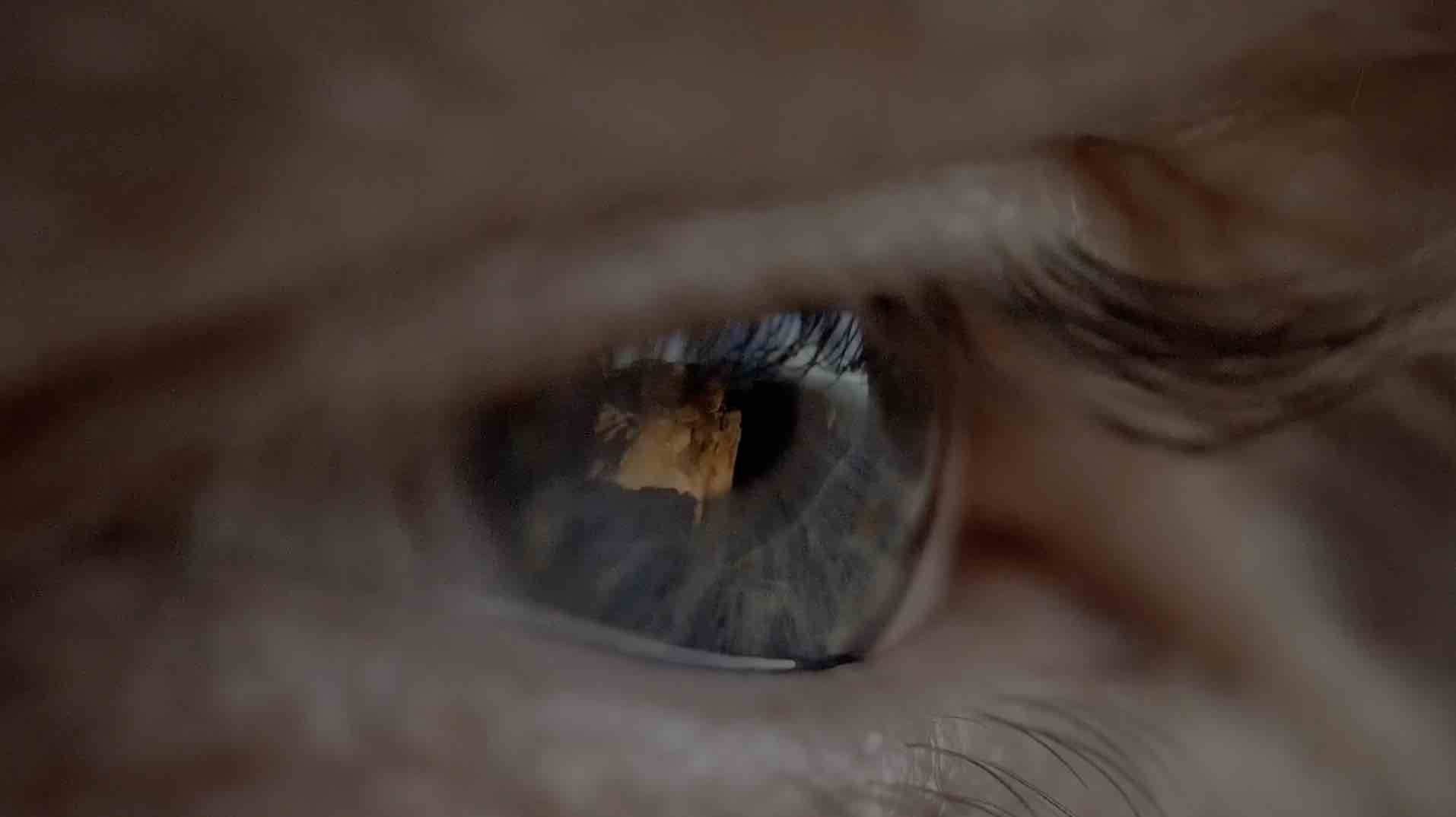 Friendship ne sombre pas pour Nikon