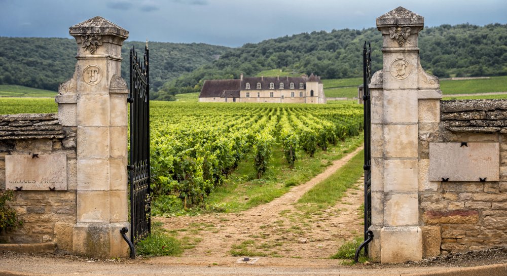 Les Vins de Bourgogne consultent
