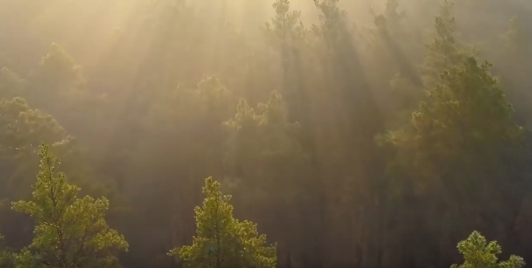 'The Decade of Action' documenteert ecologische plicht van bedrijven