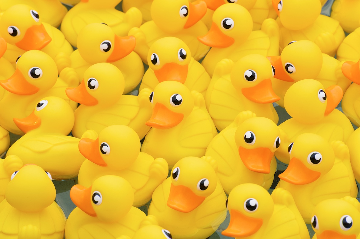 Quand la RTBF et RMB font le point sur leurs projets data