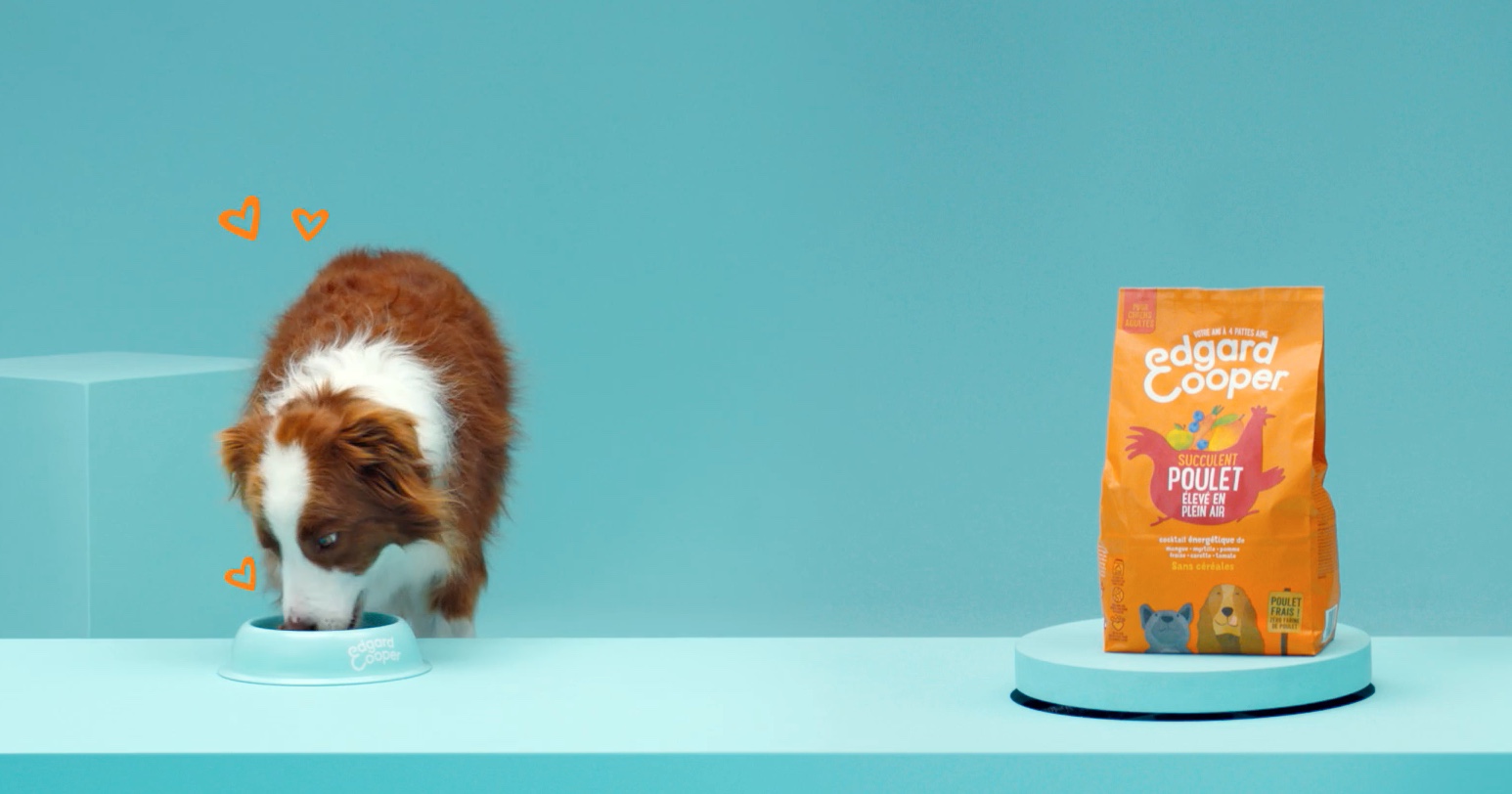 Edgard & Cooper waagt zich aan televisie met Initiative en De Vloer