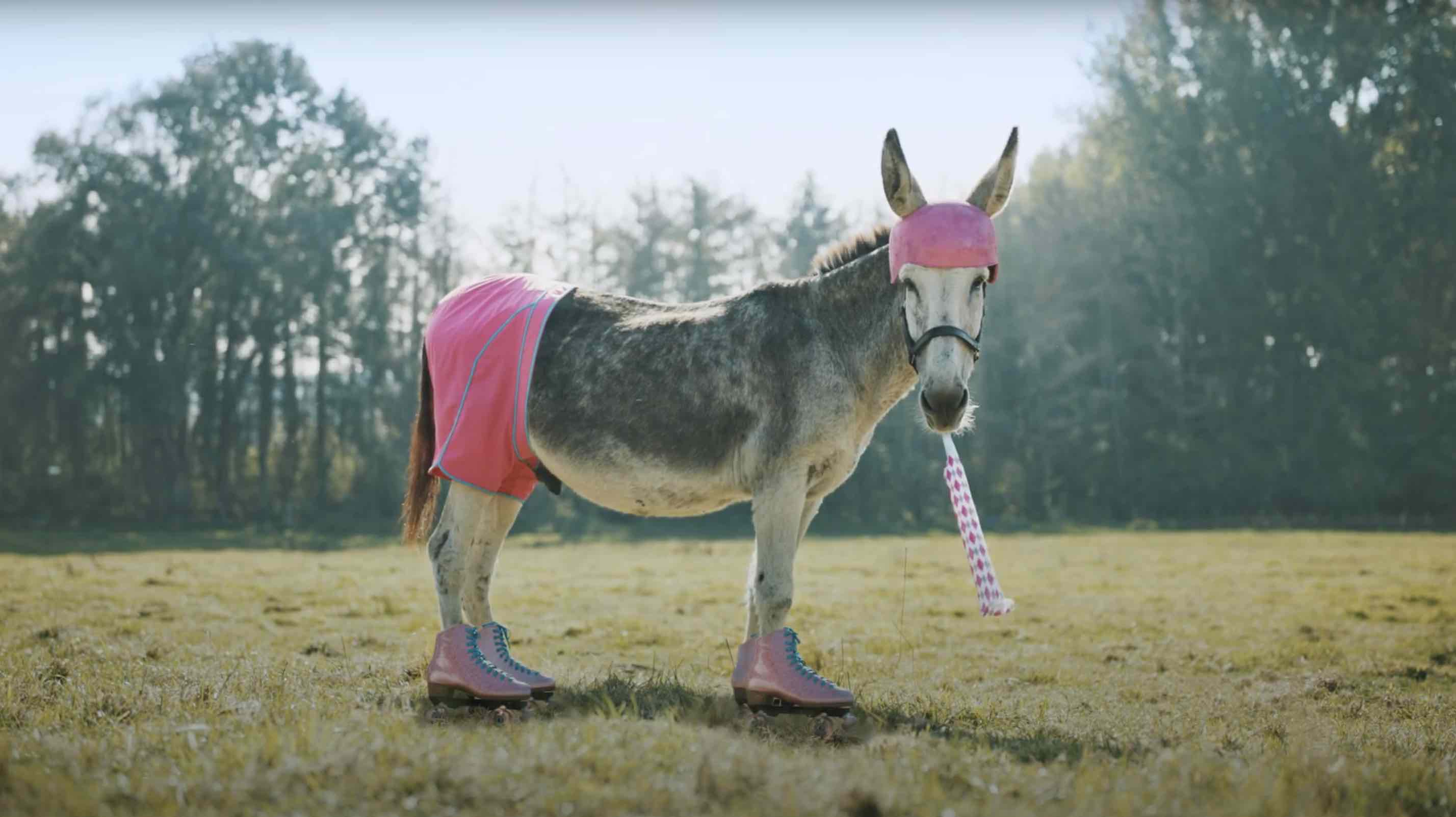 De Nationale Loterij start een nieuwe pitch