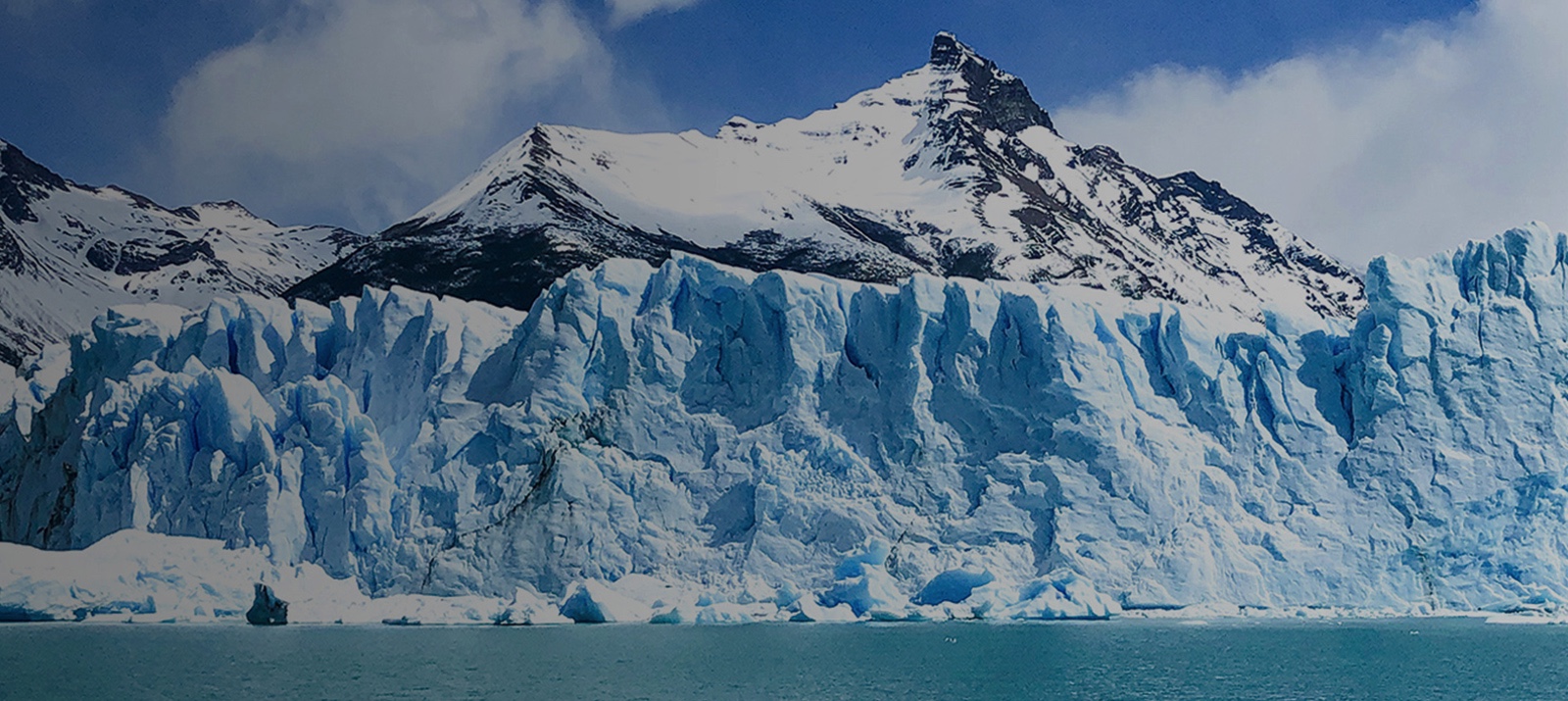 Springtime, Make Sense et NGroup s'associent &agrave; une campagne internationale contre la crise climatique