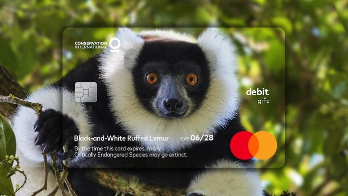 MasterCard zet bedreigde diersoorten op de kaart