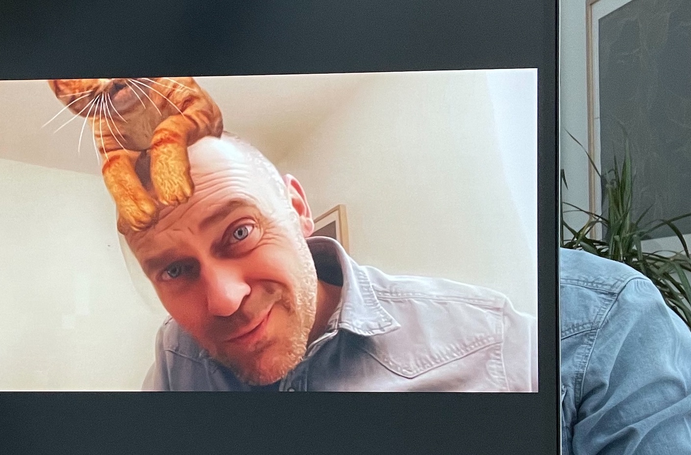 Bruno Dejonghe (Playar): 