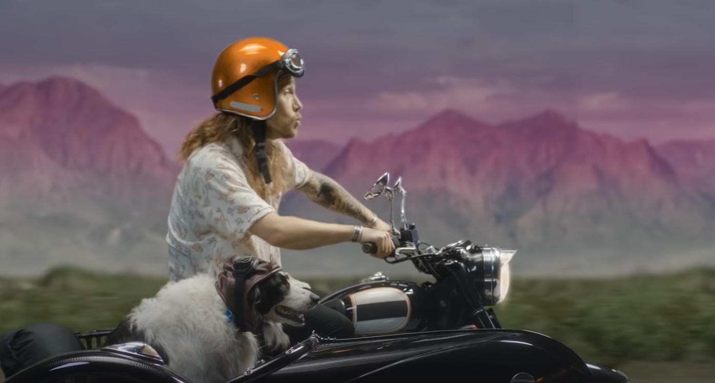 Lovo en plein délire canin pour Julien Doré