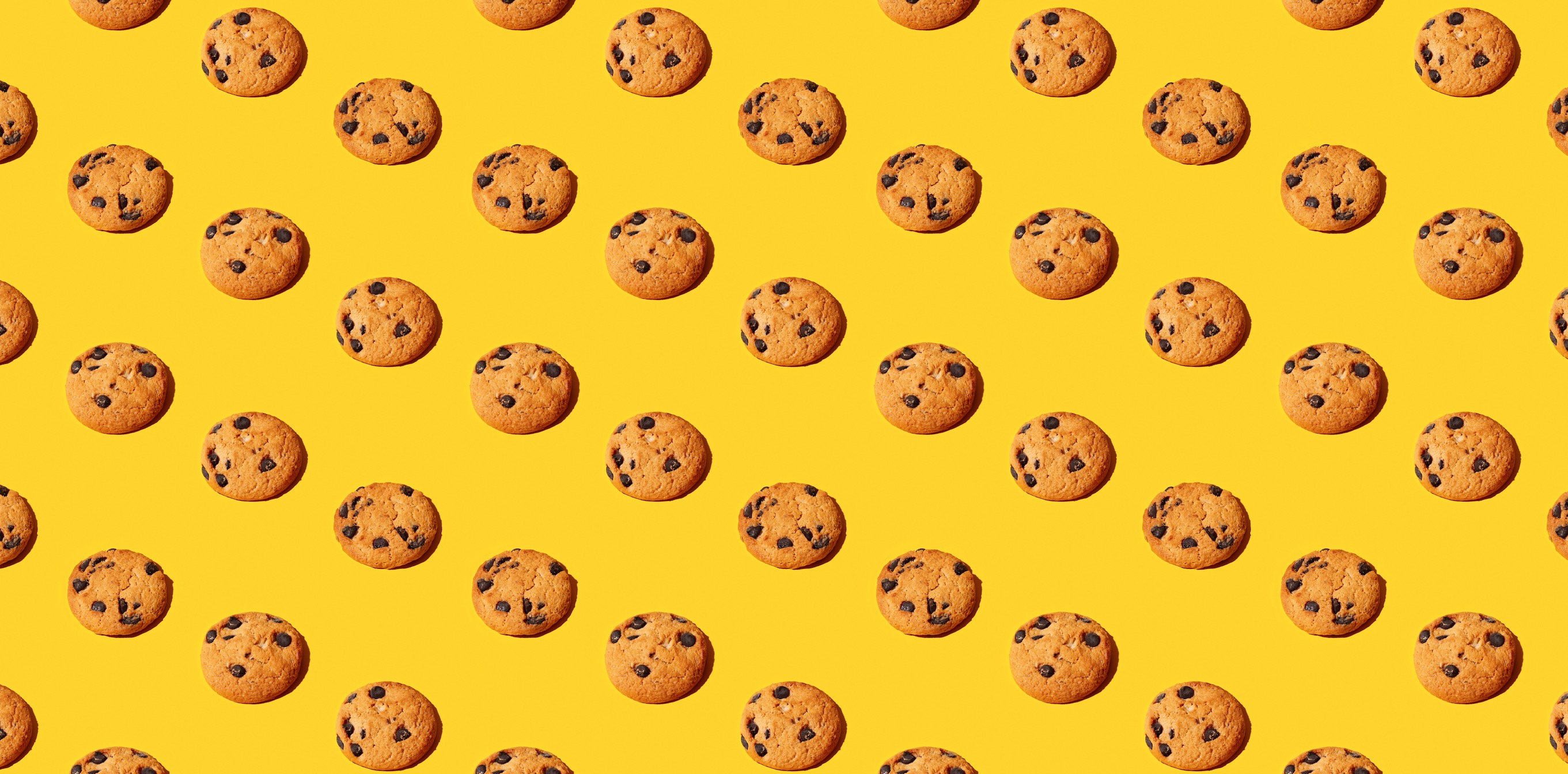 Les éditeurs s'immergent dans le monde cookieless