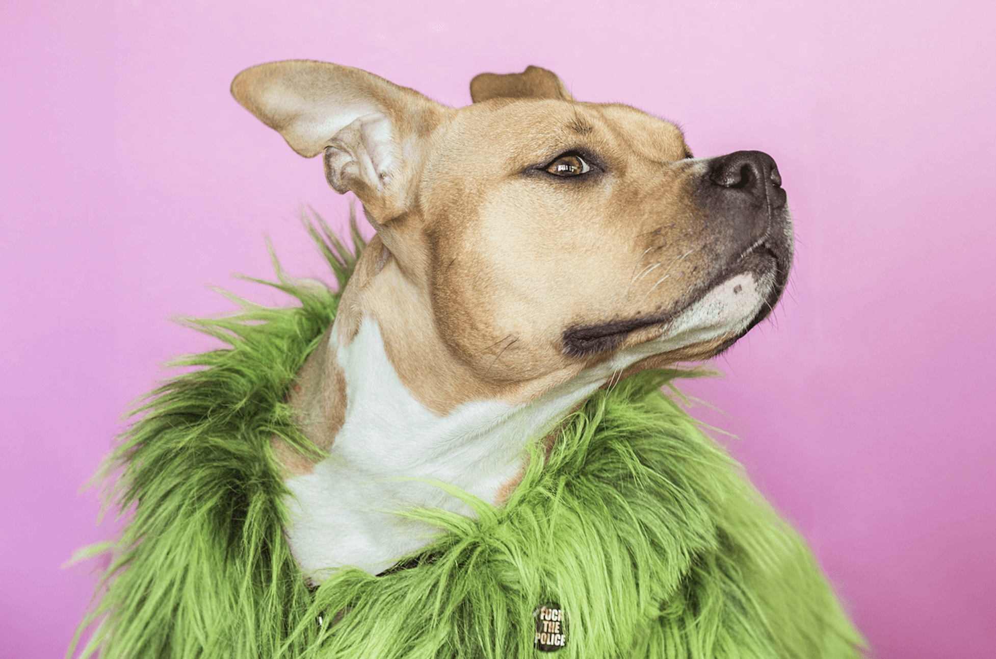 ACC en YoungDogs organiseren nieuwe editie van CDate Night