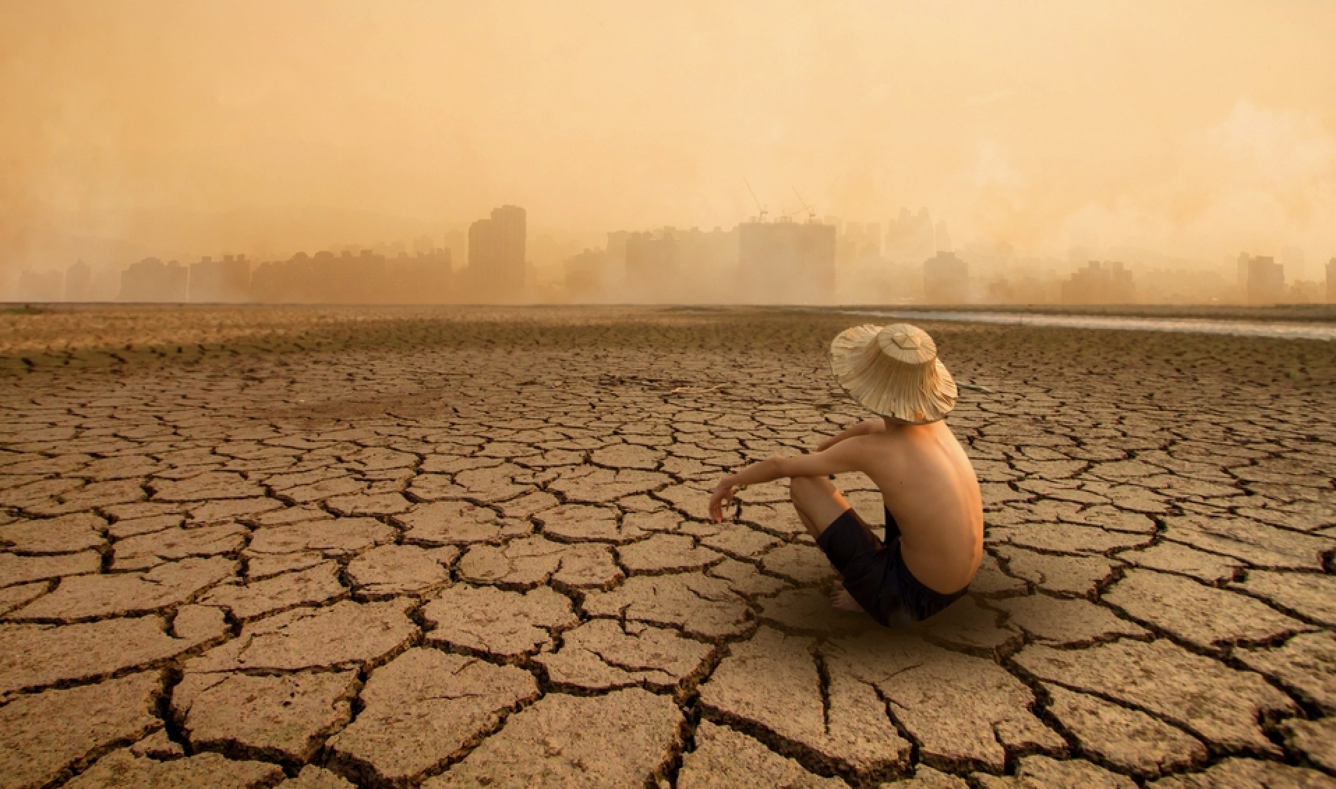 Global Risks Report: extreme klimaatomstandigheden, instorting biodiversiteit en ecosystemen als grootste risico's op lange termijn