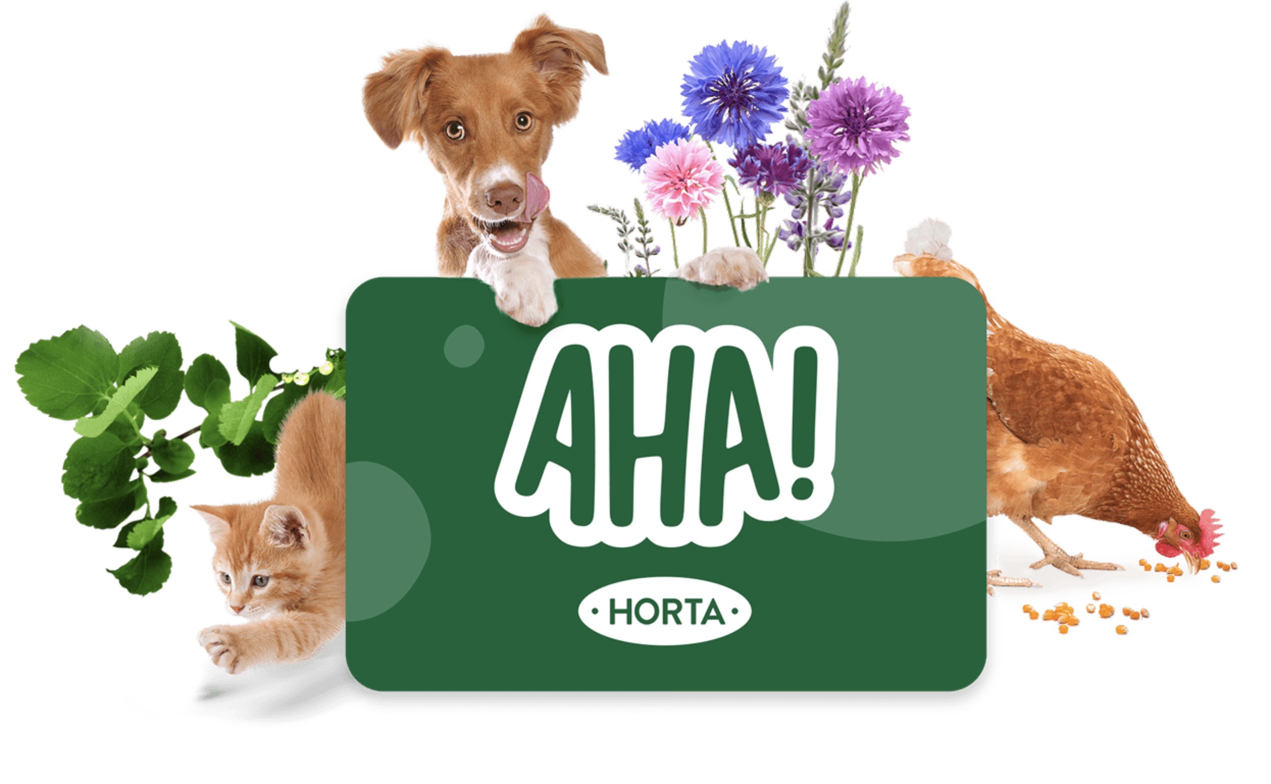 BBDO nog steeds compleet zot van Horta