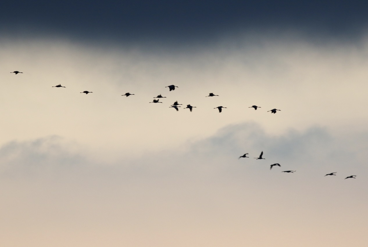 egghunter vole très haut pour Natagora