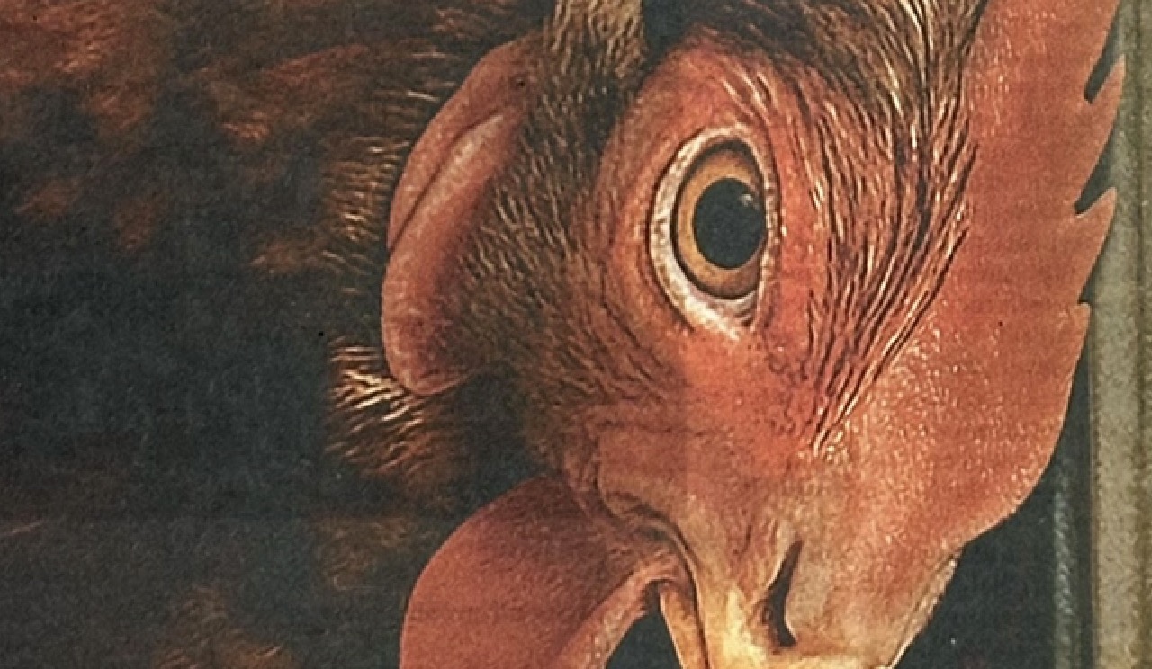 Superkraft in het nauw voor Bite Back