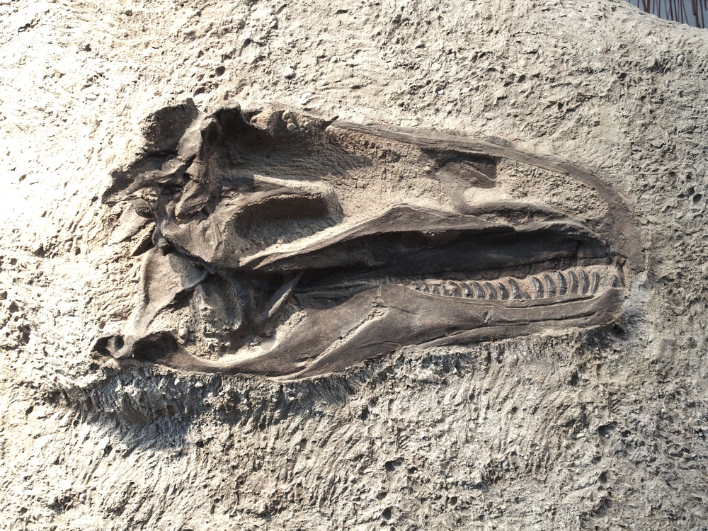 Reclameholdings hebben net als media geen tijd meer te verliezen, door Fred Bouchar (MM)