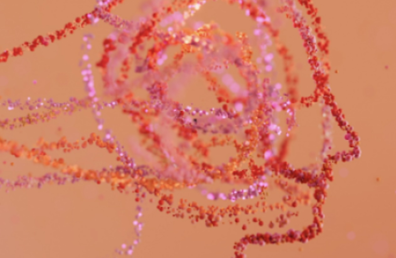 UBA Trends Day maakt line-up compleet