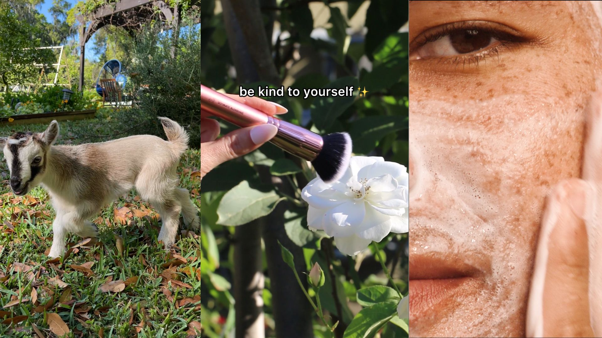 e.l.f diffuse des sons qui font du bien (by Focalys)