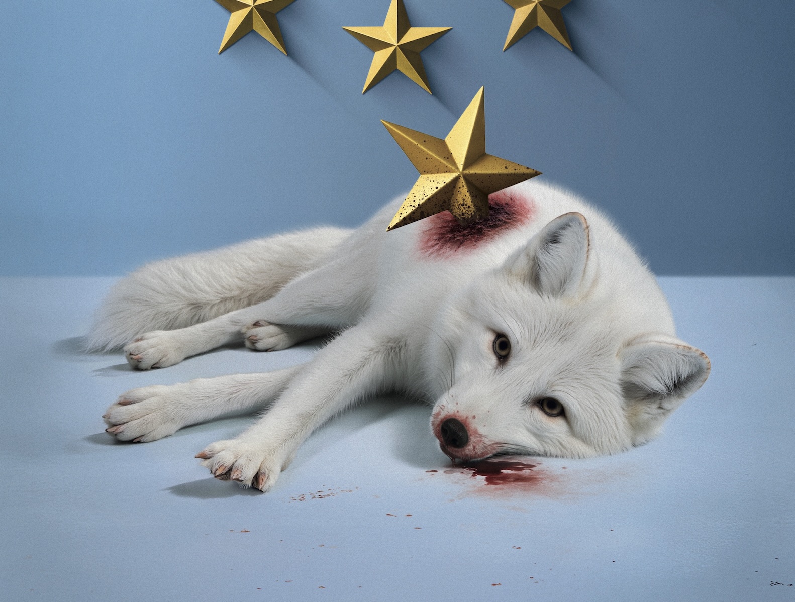 Untitled Workers Club strijdt voor Europa zonder bont