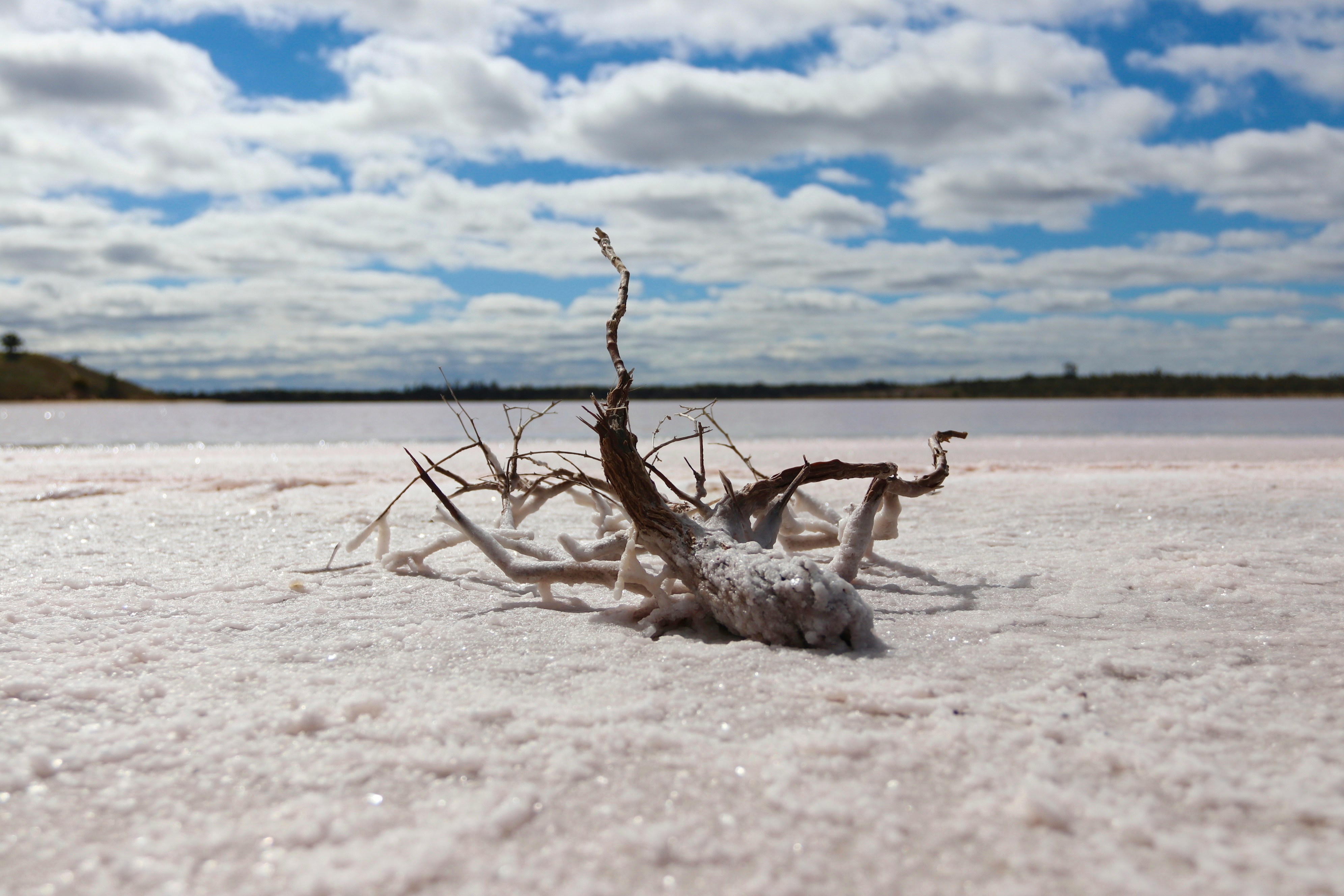 SXSW: Stargate: hoe OpenAI Texas verandert in wingebied voor AI, door Danny Devriendt (Omnicom Media)