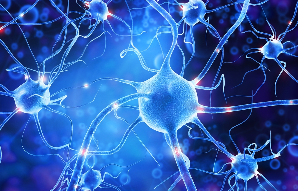 Seedtag lanceert NeuroX om reclametargeting te optimaliseren