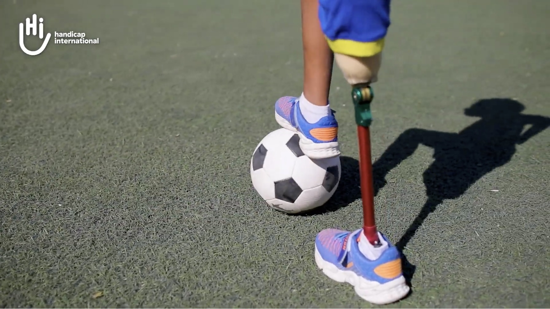 Handicap International stopt niet met dromen met Frank Raes