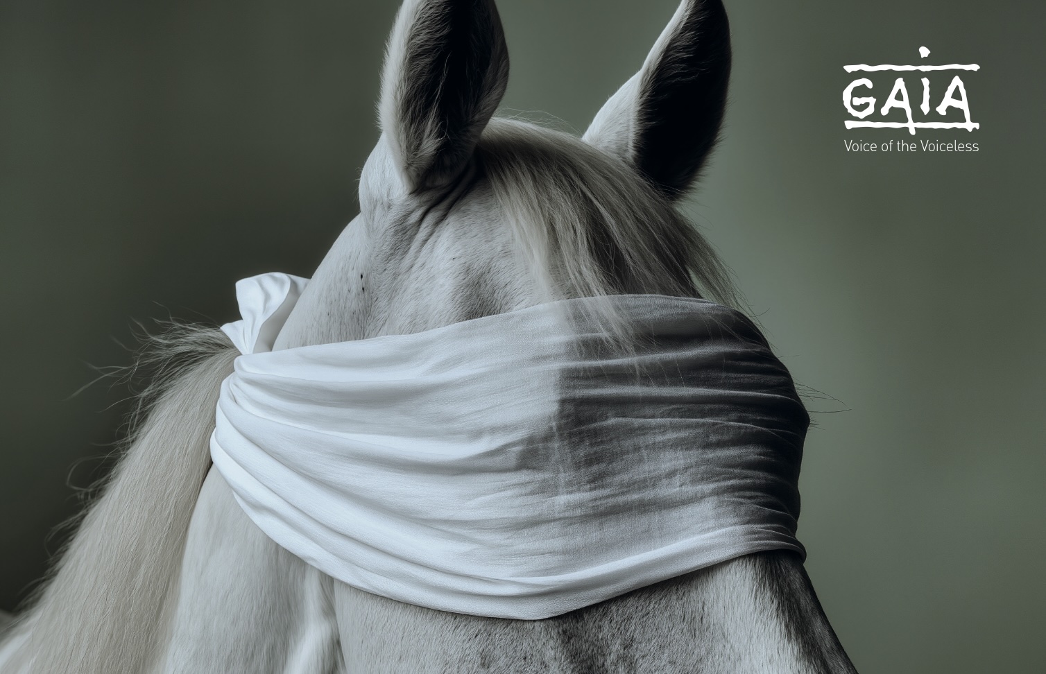 Untitled Workers Club op zijn paard voor Gaia