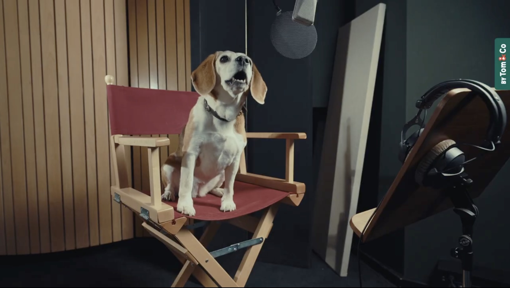 Tom&Co diffuse un jingle créé &agrave; l'aide de vocalises canines