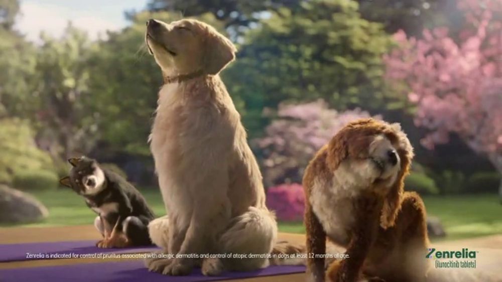 Initiative remporte Elanco Animal Health 