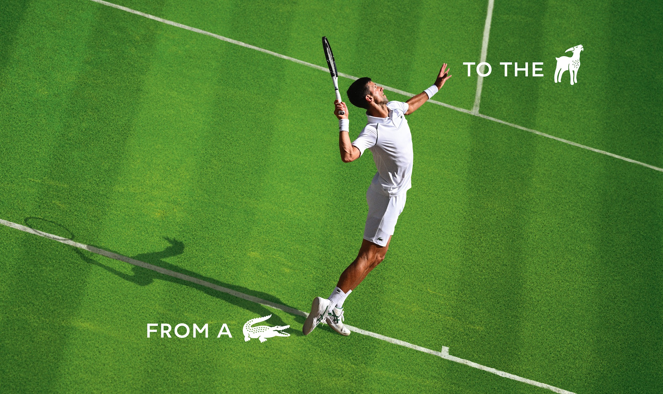 Lacoste fait &agrave; nouveau muter son crocodile