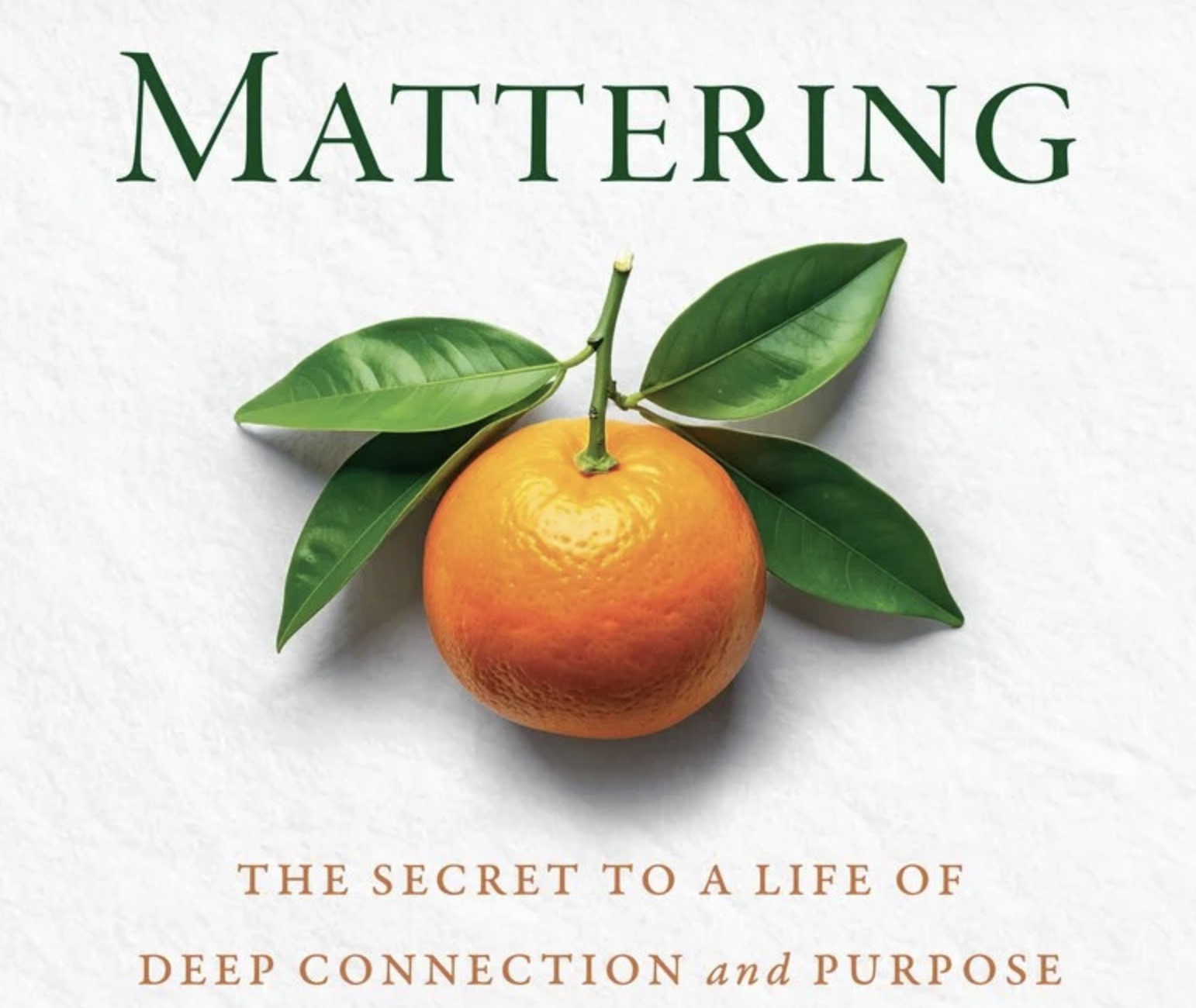 SXSW: Le vrai problème de l'IA pourrait être que les humains ont besoin de compter, par Danny Devriendt (Omnicom Media)