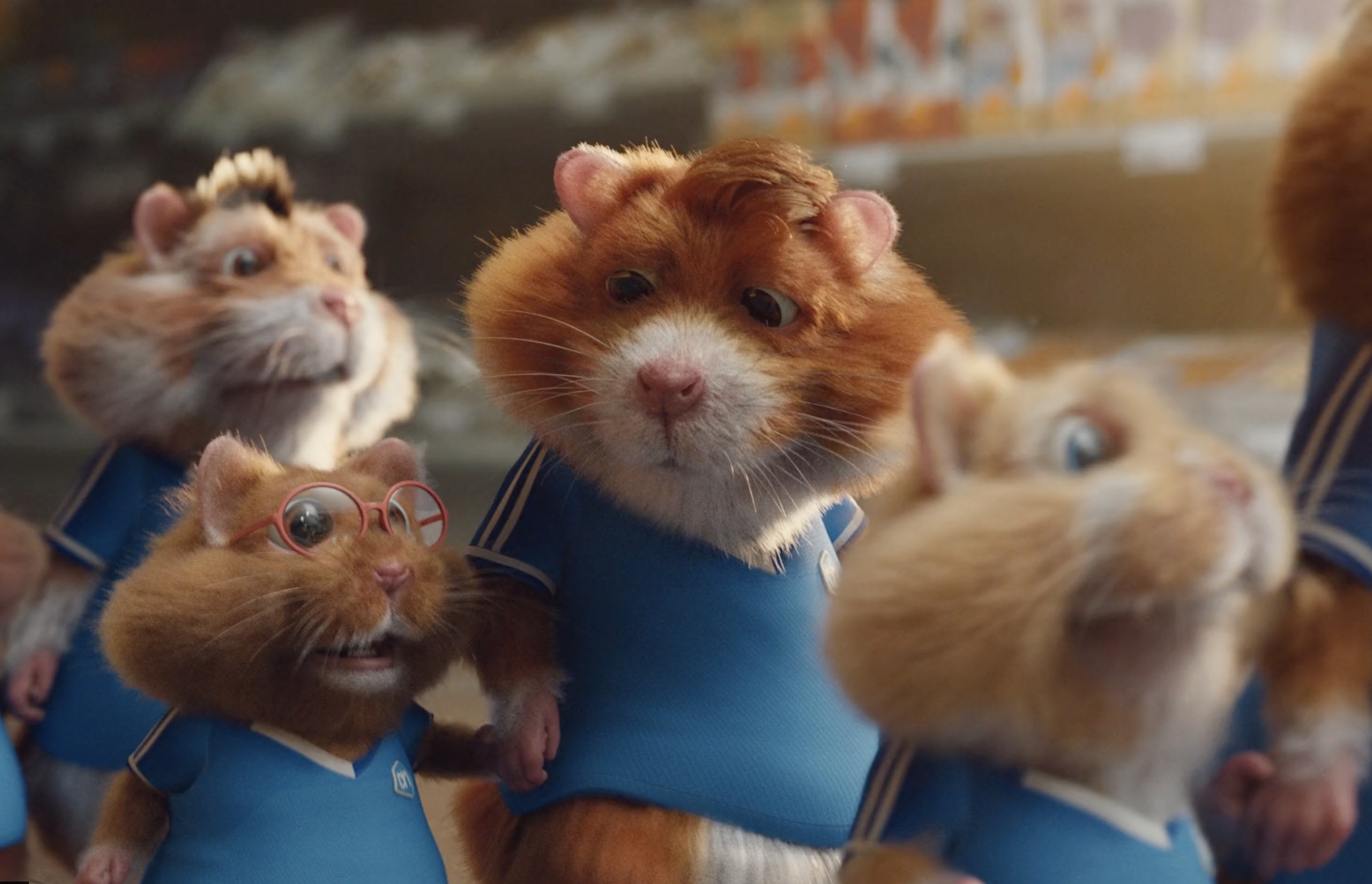 Fin de parcours pour Nozon