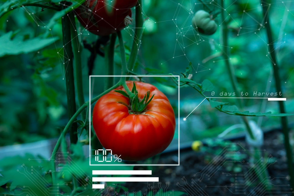 Produire sans détruire, nourrir en régénérant : l'agroalimentaire &agrave; la croisée des chemins, par Sabrina Bulteau (Sench)