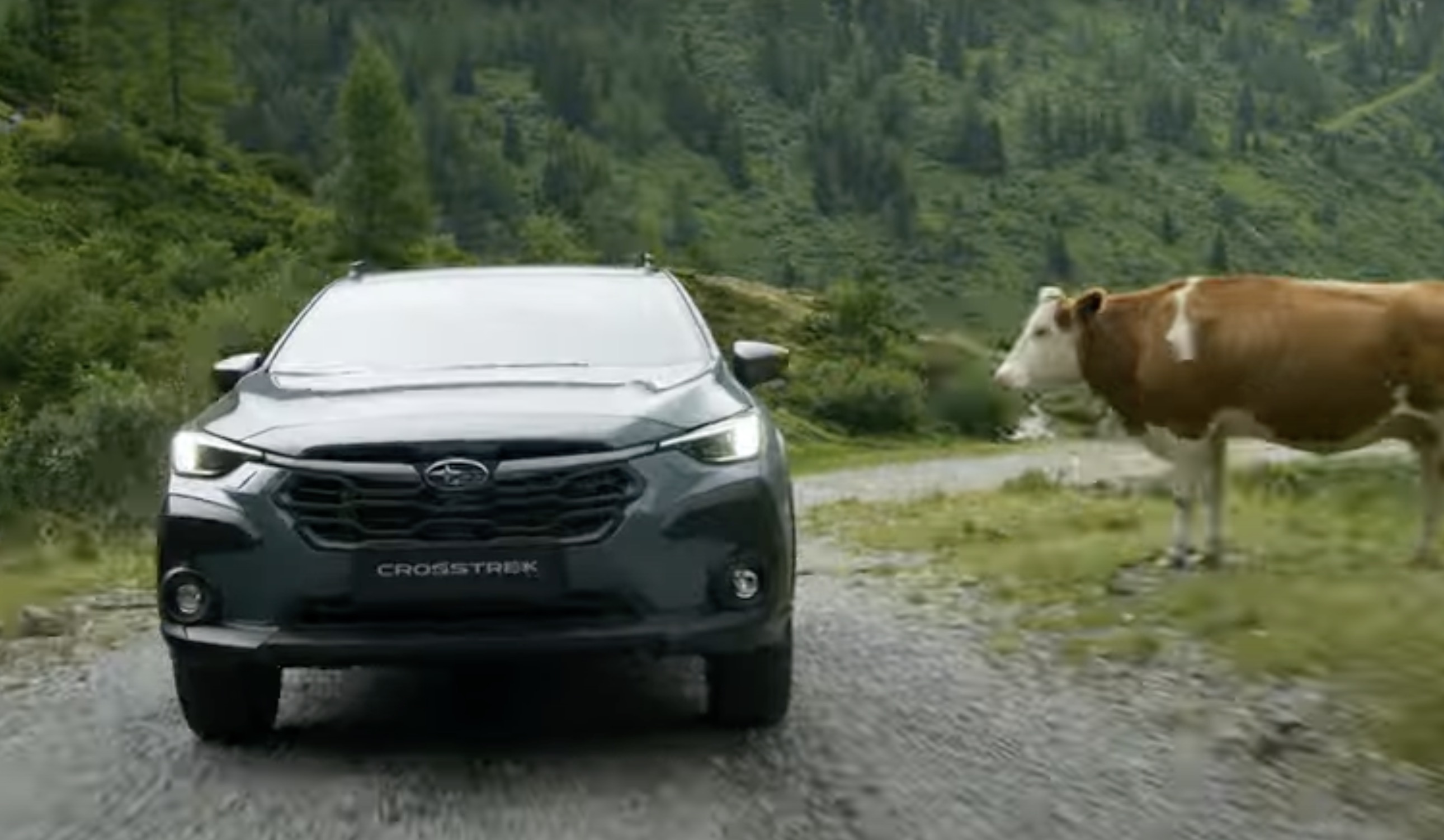 Subaru Benelux embarque The Crew
