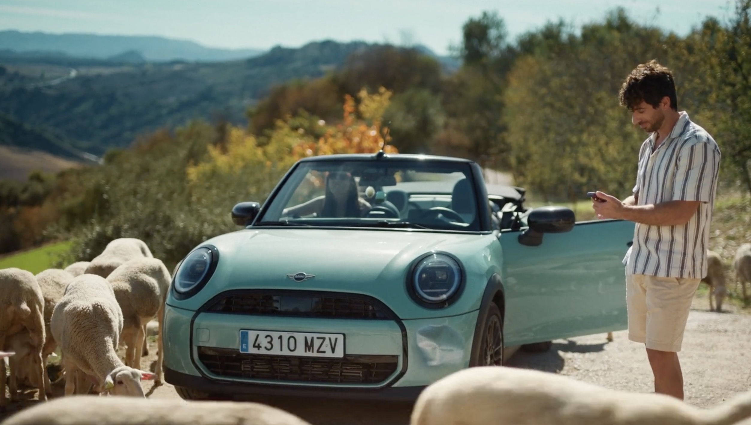 Sunny Cars accélère avec Mediaplus 